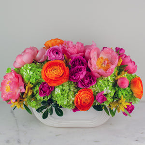 Designer's Choice BRIGHT & BOLD