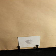 Load image into Gallery viewer, Butterfly Ranunulus, Oil on Panel Framed, Brian Skol
