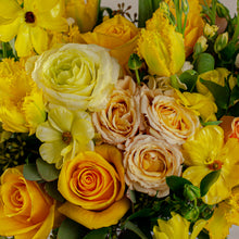 Load image into Gallery viewer, Designer's Choice CITRUS
