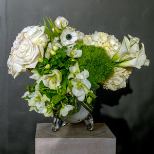 Designer's Choice GREEN & WHITE