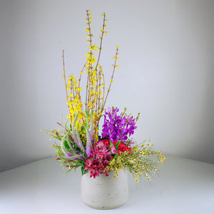 Designer's Choice BRIGHT & BOLD