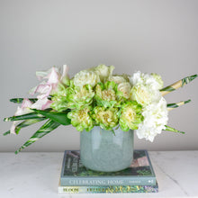 Load image into Gallery viewer, Designer&#39;s Choice GREEN &amp; WHITE
