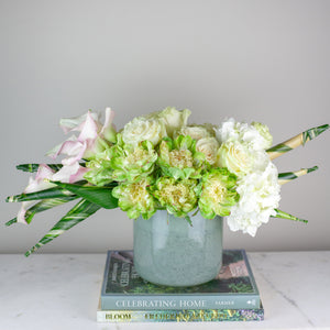 Designer's Choice GREEN & WHITE