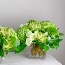 Load image into Gallery viewer, Designer&#39;s Choice GREEN &amp; WHITE
