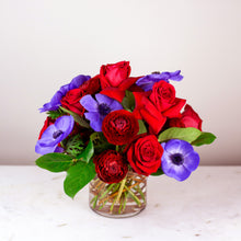 Load image into Gallery viewer, Designer's Choice RED
