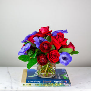 Designer's Choice BRIGHT & BOLD