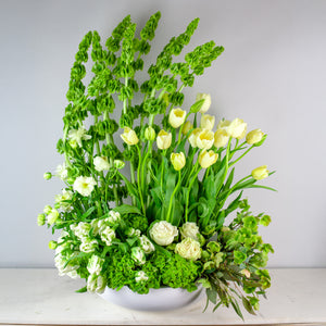 Designer's Choice GREEN & WHITE