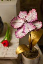 Load image into Gallery viewer, Tommy Mitchell Tulip Sculpture with Gold Stem
