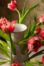 Load image into Gallery viewer, Aptos Ceramic Tulipiere
