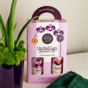 Speciality Orchid and Essential Care Kit