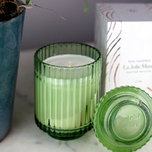 Load image into Gallery viewer, Plant Bundle Gift Set
