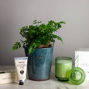 Plant Bundle Gift Set