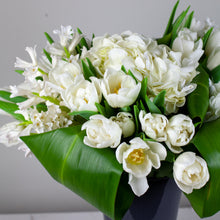 Load image into Gallery viewer, Designer&#39;s Choice GREEN &amp; WHITE
