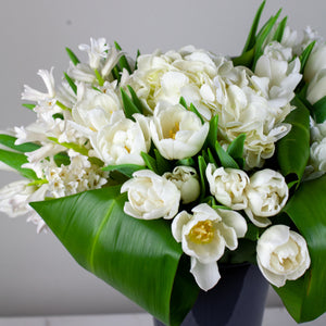 Designer's Choice GREEN & WHITE