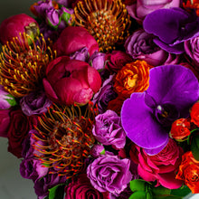 Load image into Gallery viewer, Designer&#39;s Choice BRIGHT &amp; BOLD
