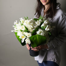 Load image into Gallery viewer, Designer&#39;s Choice GREEN &amp; WHITE
