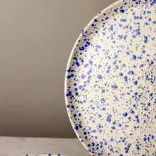 Load image into Gallery viewer, Splatterware Dinner Plates,Set of 4, in Color Lake
