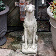 Load image into Gallery viewer, Cast Stone Greyhound Statue
