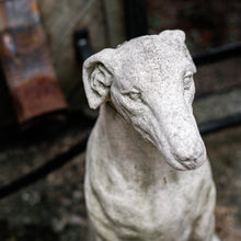 Load image into Gallery viewer, Cast Stone Greyhound Statue

