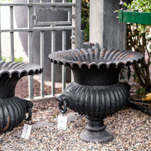 Load image into Gallery viewer, Woodbury Cast Iron Urns, Pair C 1880
