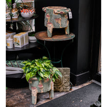 Load image into Gallery viewer, Pair of 1920s French Faux Bois Painted Trunk Planters with Legs
