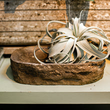 Load image into Gallery viewer, Gray Travertine Rough Organic Shaped Edged Bowl
