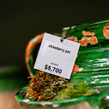 Load image into Gallery viewer, Green and Yellow Large Strawberry Pot
