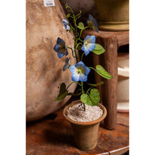 Load image into Gallery viewer, Tommy Mitchell Morning Glory Sculpture in Pot
