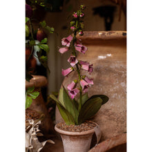 Load image into Gallery viewer, Tommy Mitchell Foxglove Sculpture in Pot
