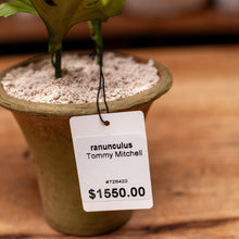 Load image into Gallery viewer, Tommy Mitchell Ranunculus Sculpture in Pot
