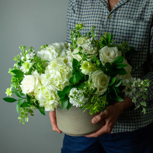 Designer's Choice GREEN & WHITE