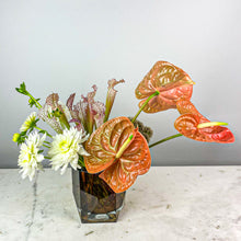 Load image into Gallery viewer, Designer&#39;s Choice CITRUS
