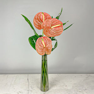Designer's Choice CITRUS