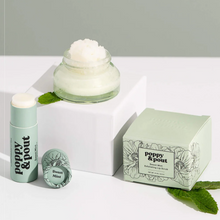 Load image into Gallery viewer, Poppy &amp; Pout Lip Care Gift Set, Sweet Mint
