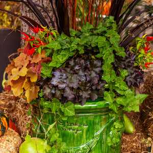 Fall Container Workshop - Saturday, September 21