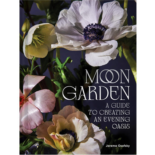 Moon Garden: A Guide to Creating an Evening Oasis