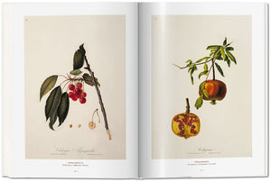 A Garden Eden. Masterpieces of Botanical Illustration.