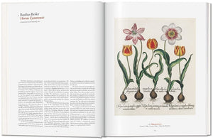 A Garden Eden. Masterpieces of Botanical Illustration.