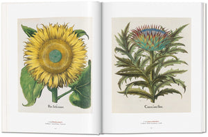 A Garden Eden. Masterpieces of Botanical Illustration.