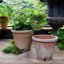 Load image into Gallery viewer, Aged Terracotta Victorian Planter
