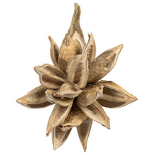 Load image into Gallery viewer, Dried Star Pod
