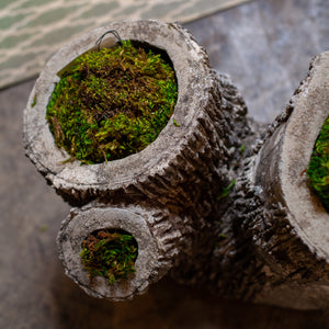 Faux Bois Three Trunk Planter