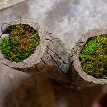 Load image into Gallery viewer, Faux Bois Two Stump Planter
