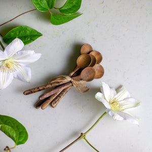 Wooden Condiment Spoons, set of 6