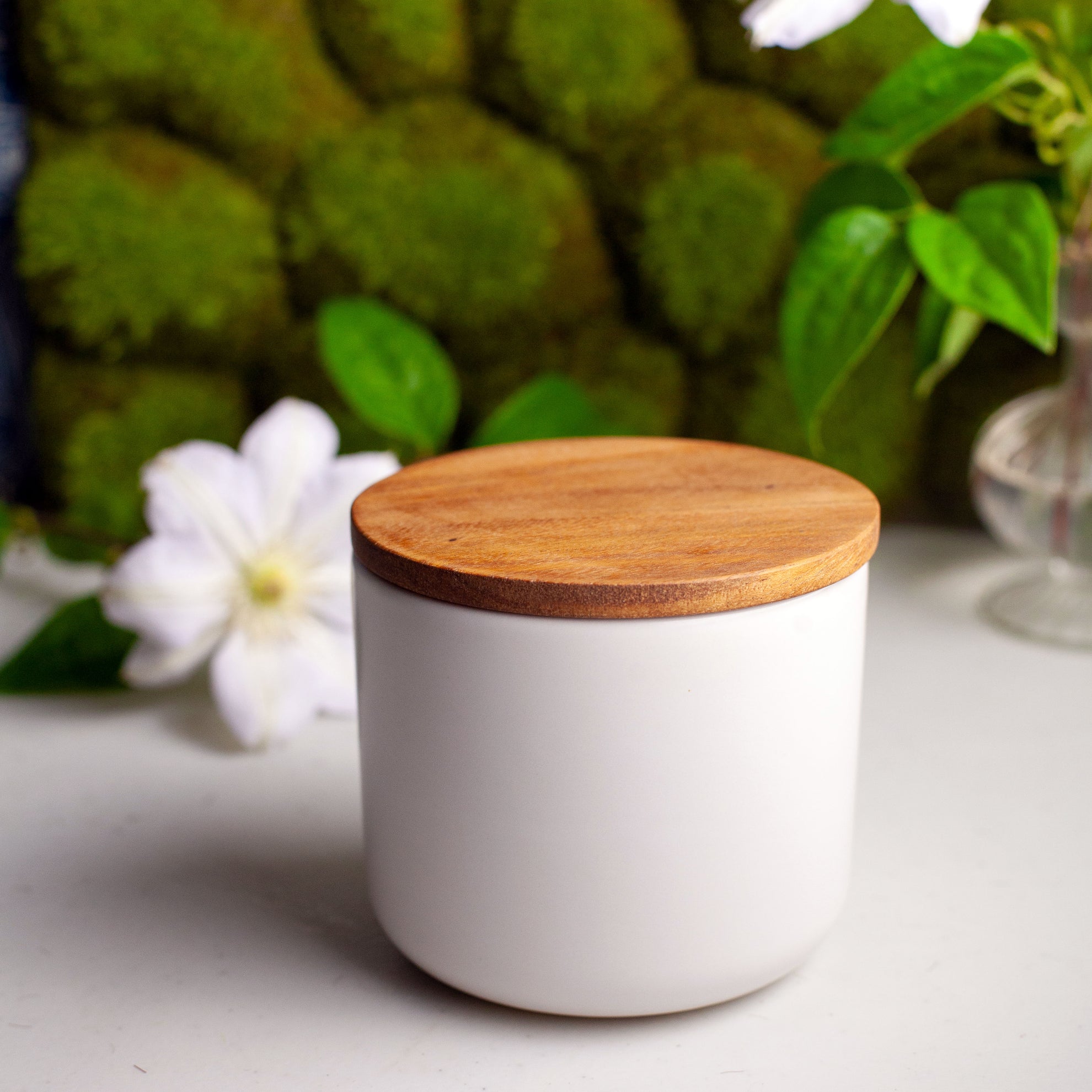 White Stoneware Container w/ Acadia Lid