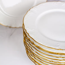 Load image into Gallery viewer, Haviland Limoges Dinner Plates
