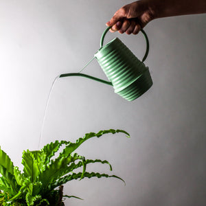 Green indoor watering can