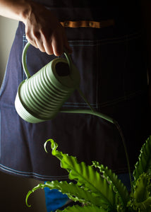 Green indoor watering can