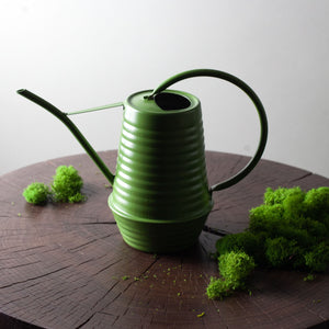 Green indoor watering can