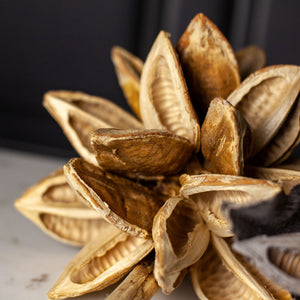 Dried Star Pod